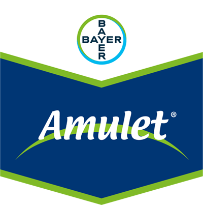 Amulet®