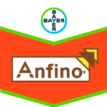 Anfino®