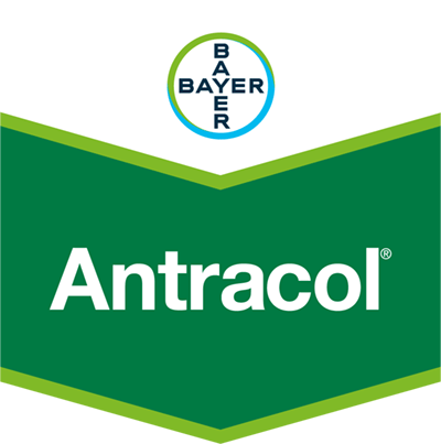 Antracol®