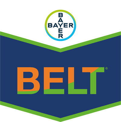 Belt®