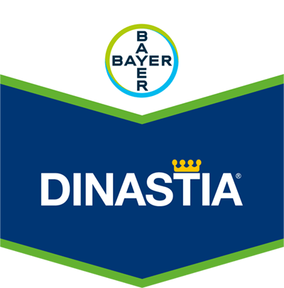 Dinastia®