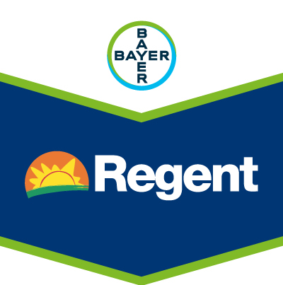 Regent