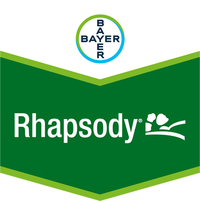 Rhapsody®