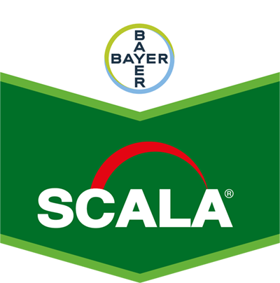 Scala®