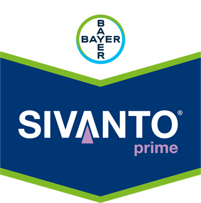 Sivanto® Prime