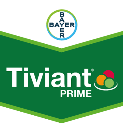 Tiviant Prime