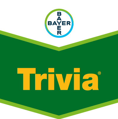 Trivia®